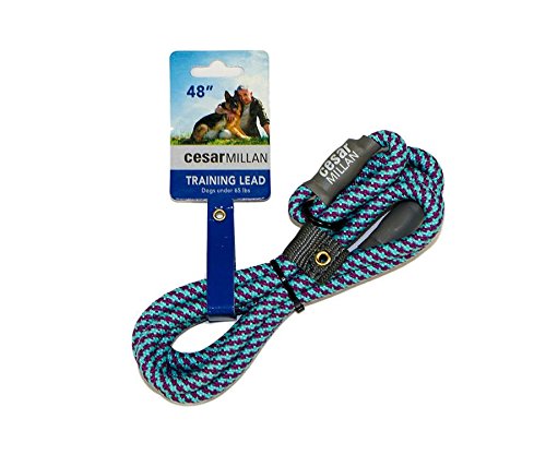 Cesar Millan Correa de Entrenamiento de Nylon, Aqua/Purple (Pequeño/Mediano 120cm,1cm)