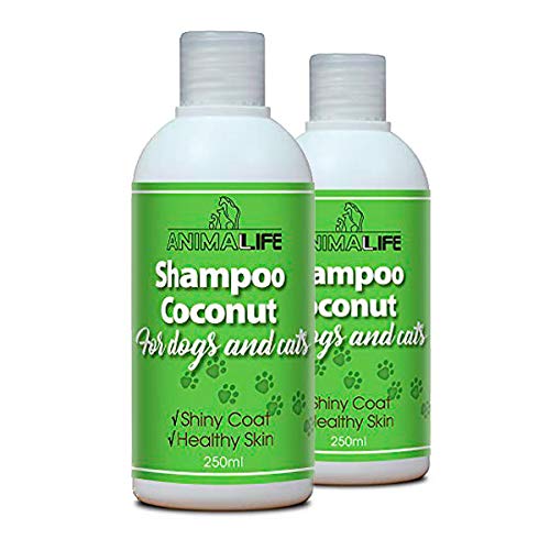 Champú de Aceite de Coco para Perros & Gatos 500ml - Árbol de Té Etéreo & Aceite de Romero - Nutriente - Fácil de Peinar - Olor Agradable