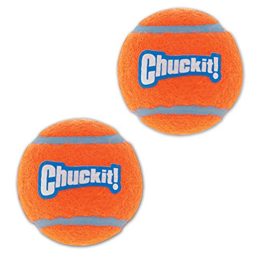 Chuckit Tennis Ball, 4 Pelotas para Perros Compatible con el Lanzador, Naranja, M