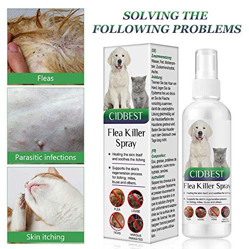 CIDBEST Flea Spray,Pulgas Spray,Anti Pulgas,Spray de protección contra pulgas, Spray Repelente de pulgas de Ingredientes Naturales para Perros Pulgas Garrapatas