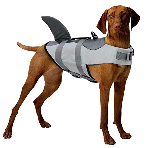 CITÉTOILE Perro Chaleco Salvavidas Chaqueta Mascotas Salvavidas Reflexivo para Piscina, Playa, Canotaje, para Perros pequeños, medianos, Grandes Que entrenan con manija de Rescate Gris M