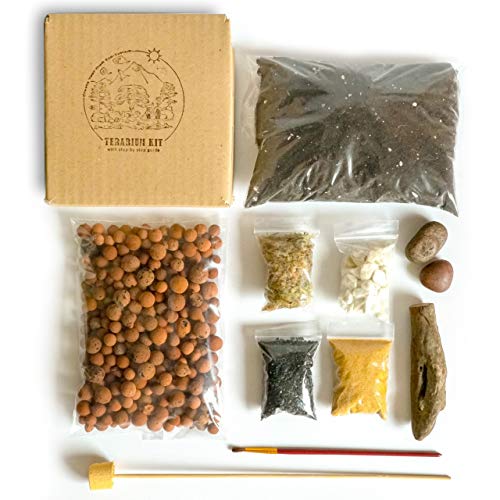 ConcreteLab&Co - Kit de terrario para suculentas y plantas de cactus con guía paso a paso, incluye tierra, carbón, musgo, arena y cepillo., Múltiples materiales, Small