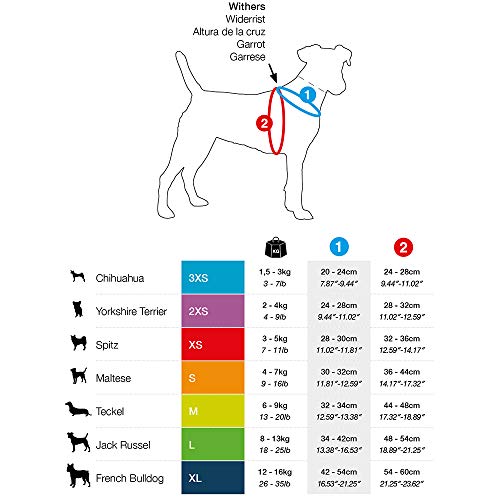 CURLI - Chaleco de malla arnés para perro