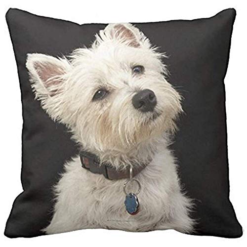 Dana34Malory Westie West Highland Terrier - Funda de Almohada con Cuello, 40,6 x 40,6 cm