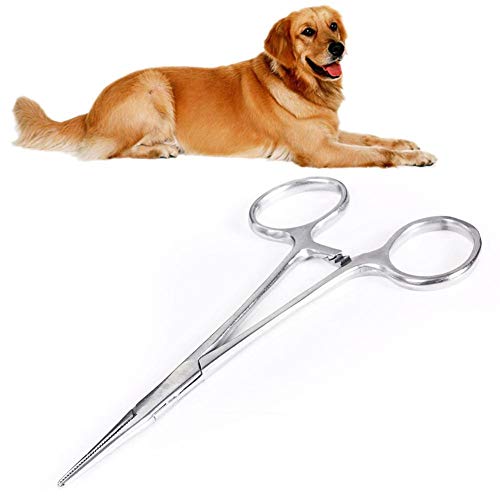 DC CLOUD Tijeras para Perros Tijera De Barba Oído removedor de Pelo Pet oído fórceps Fórceps de Acero Inoxidable Tijeras curvadas para Perro Straight,12.5cm