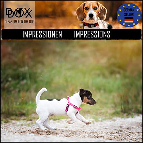 DDOXX Arnés Perro Step-In Nylon, Ajustable | Diferentes Colores & Tamaños | para Perros Pequeño, Mediano y Grande | Accesorios Gato Cachorro | Rojo, S