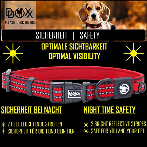 DDOXX Collar Perro Nylon, Ajustable, Reflectante, Acolchado Tamaños | para Perros Pequeño, Mediano y Grande | Collares Accesorios Gato Cachorro | Negro, S