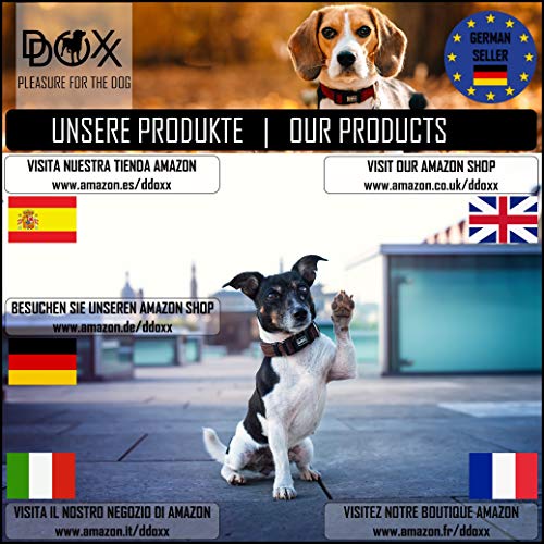 DDOXX Collar Perro Nylon, Ajustable, Reflectante, Acolchado Tamaños | para Perros Pequeño, Mediano y Grande | Collares Accesorios Gato Cachorro | Negro, S