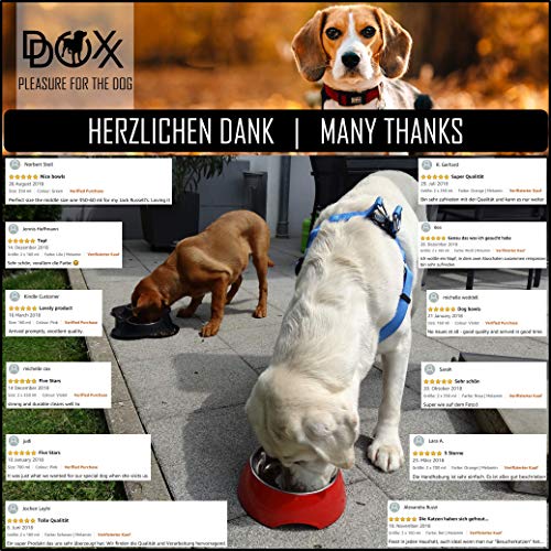 DDOXX Comedero Doble Perro, Antideslizante Tamaños | para Perros Pequeño, Mediano y Grande | Bol Accesorios Acero INOX-Idable Melamina Gato Cachorro | Verde, 2 x 700 ml