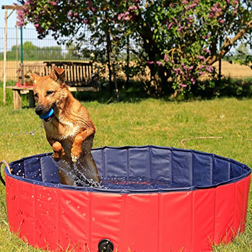 Dibea PVC, Piscina para Mascotas, Bañera Plegable para Perros, Ø 80 Cm, Rojo/Azul Oscuro, S