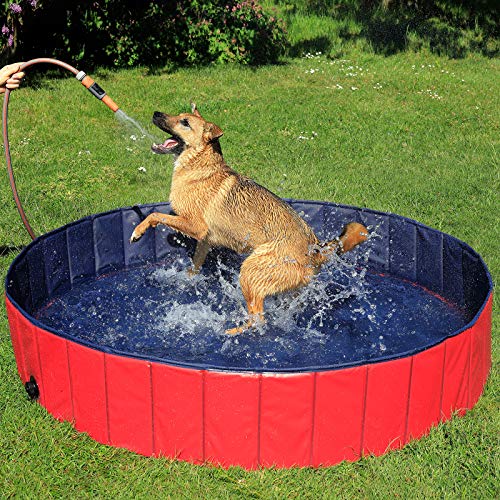 Dibea PVC, Piscina para Mascotas, Bañera Plegable para Perros, Ø 80 Cm, Rojo/Azul Oscuro, S