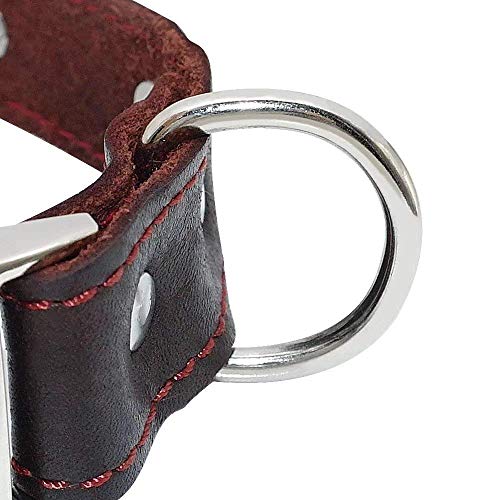 Didog - Collar para Perro de Piel auténtica Suave con Placa identificativa grabada, Collar de Piel Personalizado para Perros pequeños y medianos