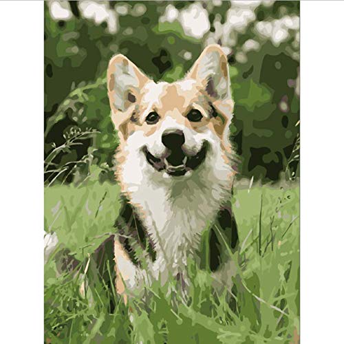 DIY Pintura por números Pintura al óleo digital Happy grass dog Animal Canvas Wedding Decoration Art picture Gift-40 * 50cm