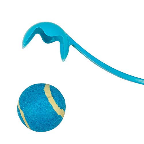 Dizelin Lanzador Y Pelota De Tenis Color Verde 50Cm 1 Unidad 200 g