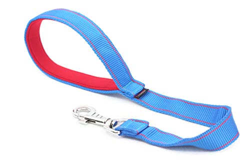 DogDirect London - Correa para Perro (Mango Corto, 50 cm, Neopreno, Hecha a Mano, para Perros medianos, Grandes y Gigantes), Color Azul y Rojo