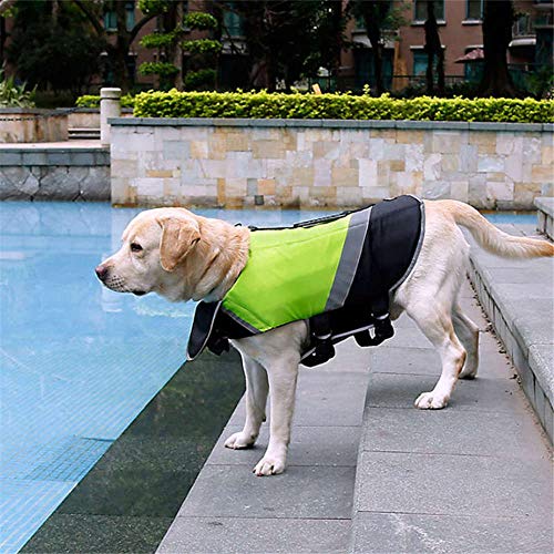 Doglemi - Chaleco Salvavidas Impermeable para Perro, Ideal para el Verano y el Invierno