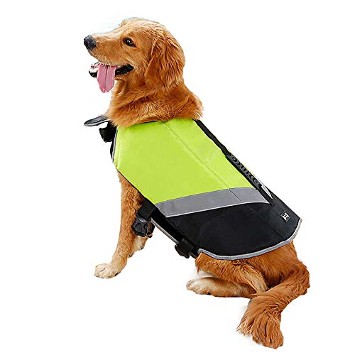 Doglemi - Chaleco Salvavidas Impermeable para Perro, Ideal para el Verano y el Invierno