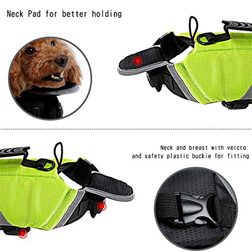 Doglemi - Chaleco Salvavidas Impermeable para Perro, Ideal para el Verano y el Invierno