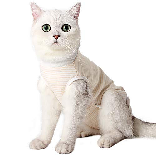 Dotoner Traje de recuperación profesional para gatos, camiseta de recuperación quirúrgica para heridas abdominales vendas cono cuello en forma de cono alternativo(H,l)