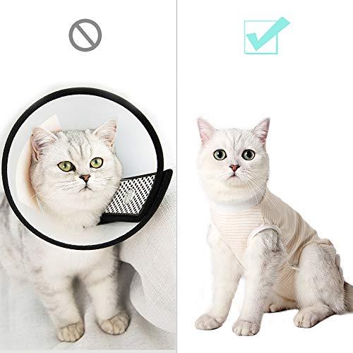 Dotoner Traje de recuperación profesional para gatos, camiseta de recuperación quirúrgica para heridas abdominales vendas cono cuello en forma de cono alternativo(H,l)