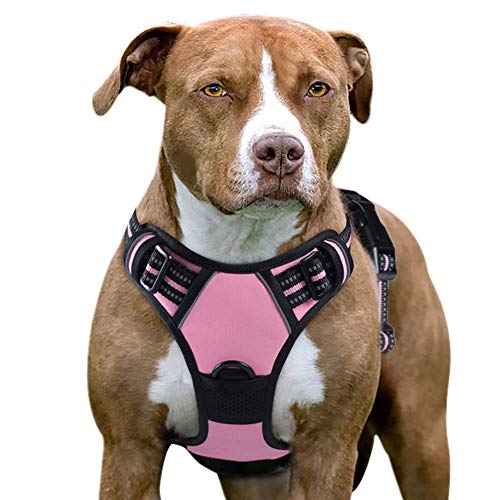 Eagloo Arnes de Perro Antitirones Cómodo Chaleco Ajustable Correa al Cuello y Pecho para Perros Labrador Material Duradero Transpirable con Cinta Reflectante Adaptarse a Ejercer Externo XL/Rosa