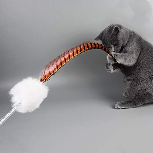 Edmend Interactiva Gato Juguete Divertido Gato del Animal doméstico Juego del Gatito Sticks Varita Classic Rod Ingenio con Bell Suministros Gato De Juguete para Mascotas (Color : White)