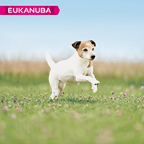 EUKANUBA Edad Avanzada con Necesidad de Cuidados Raza Pequeña rico en pollo fresco [12 kg]