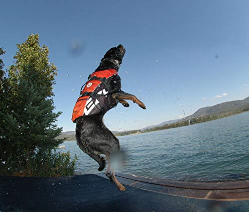 EzyDog Chaleco Salvavidas para Perros - DFD - Ideal para Natación y para que tu Cachorro esté Seguro en el Agua, Perros Seguridad Natación Ropa (M, Rojo)