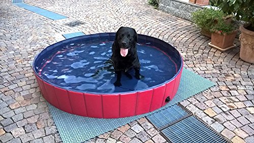 Femor Bañera Plegable de Mascotas Baño Portátil para Animales Piscina para Perros y Gatos Adecuado para Interior Exterior al Aire Libre Color Rojo (M/120 x 30cm)