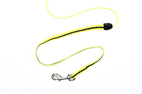 Flexi Neon Correa para Perro Retráctil, pequeño tamaño Correa, Cable 5 m, para un Perro hasta 12 kg