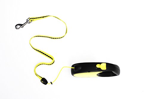 Flexi Neon Correa para Perro Retráctil, pequeño tamaño Correa, Cable 5 m, para un Perro hasta 12 kg