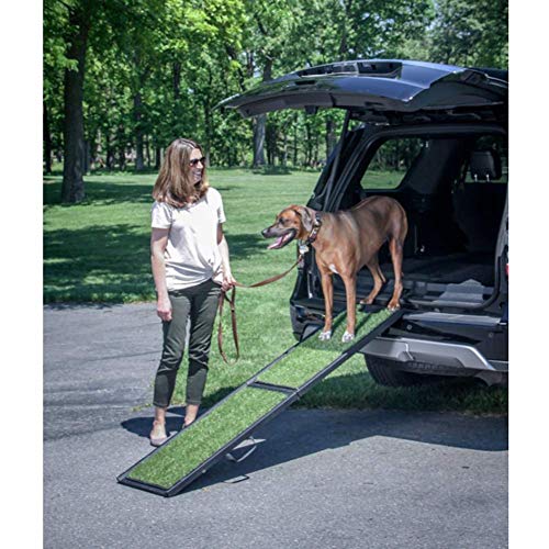 FTFDTMY Escalera para Mascotas Rampa Plegable, Antideslizante, rampa para Perros Grande portátil Pasos para el hogar Escalera Auxiliar, Capacidad de 80 kg (Color: Verde, tamaño: 41x181cm)