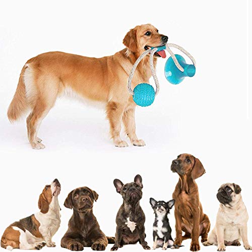 Funmo Pelota de Juguete Mascotas, Aire Libre para Perros Juguete Multifuncional para Mordedura de Molar para Mascotas de Ventosa Resistente a la masticación Herramienta de Limpieza de Dientes