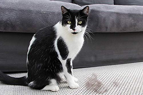 Furminator Herramienta de muda para Gatos pequeños de Pelo Corto S