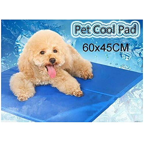 GadgetcKing ANIMAL DOMÉSTICO DE ENFRIAMIENTO GEL MAT CAMA PERRO CAT VERANO CALENTAR CACHORRO COJÍN COCHE EXCELENTE