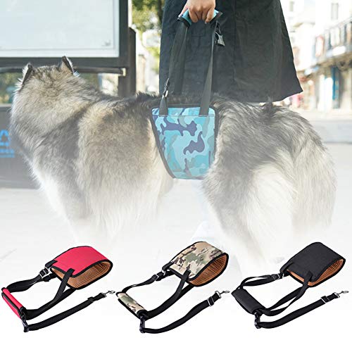 ghfashion - Arnés Auxiliar para Perros y escaleras