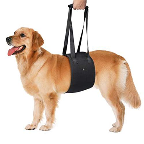 Gogdai Cinturón para Perros Cinturón para tracción con Correa Auxiliar para Perros discapacitados,Cómodas escaleras para Perros y Actividades al Aire Libre Cinturón Auxiliar para Caminar,Negro,S