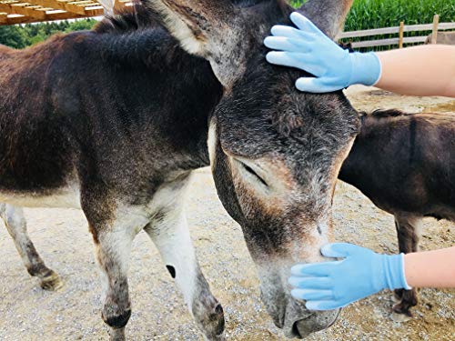 Guantes de enfermería PegaCare de calidad superior S-XL para el cuidado óptimo de animales como caballos, perros y gatos. La alternativa al cepillado de pelos de animales.