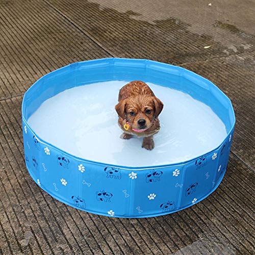 Haodene Bañera Plegable De Mascotas - Piscina para Perros Gatos Plegable, Bañera De PVC para Perros Gatos para Mascotas De Perro En Piscina Área De Juguetes Four Seasons Bañera Universal, 80 X 20 Cm