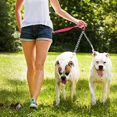 HAPPY HACHI Doble Correa para 2 Perros Cadena Correas para Mascota Plomo Acoplador Duradera Caminar Entrenamiento(S 3.0mm*50cm)