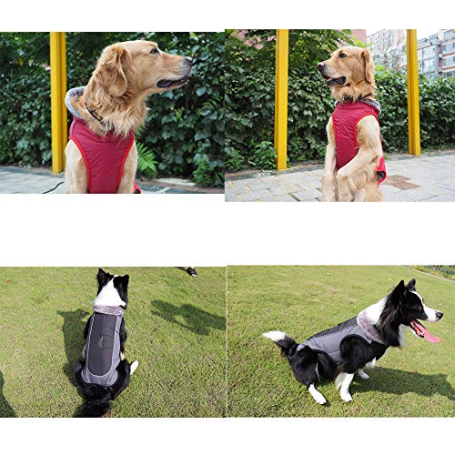 Huiit Abrigo Chaqueta para Perro Caliente para Mascotas Chaqueta Chubasquero Impermeable De Invierno Cazadora Perro con Forro Polar Ropa para Perro,Gris,L