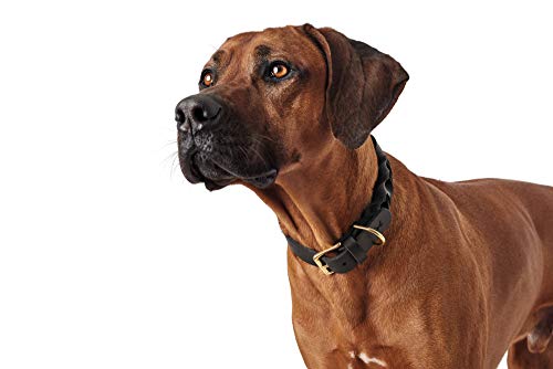 HUNTER 66850 Sansibar Solid Collar para Perros, de Piel, Trenzado, Robusto, Elegante, 65, Color Negro