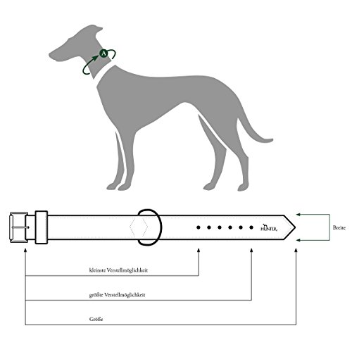 HUNTER Canadian - Collar para Perro, con Piel de Alce, Suave