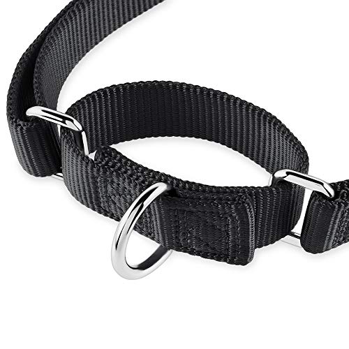 Hyhug Collar de Perro Grande para niños y niñas Stingdy Martingale Resistente a la Fuga - Uso Diario para Caminar (Grande L, Negro)