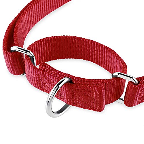 Hyhug Collar de Perro y niña Martingale pequeño Cachorro, Duradero, Que no se Puede Escapar: Entrenamiento a pie Uso Diario (Pequeño S, Rojo)