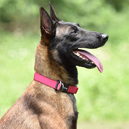 Hyhug Premium Sturdy Classic Double-Ring Collar de Perro, fácil de Colocar y Quitar Hebilla Perros Grandes y Grandes de Razas Gigantes, Entrenamiento Profesional, Uso Diario. (Grande L, Rosa roja)