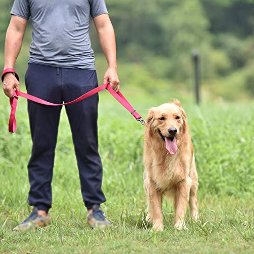 Hyhug Premium Sturdy Classic Double-Ring Collar de Perro, fácil de Colocar y Quitar Hebilla Perros Grandes y Grandes de Razas Gigantes, Entrenamiento Profesional, Uso Diario. (Grande L, Rosa roja)