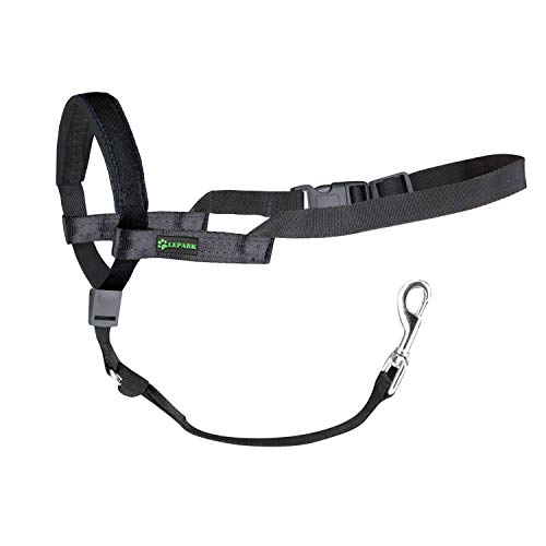 ILEPARK Correa de Adiestramiento para Perros de Piel Acolchado - Confortable al Tacto, el Collar para Perros Frena los Tirones y Deja de Tirar, Ajustable, Herramienta de Entrenamiento (L,Azul)