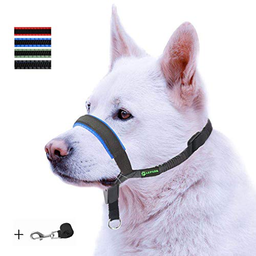 ILEPARK Correa de Adiestramiento para Perros de Piel Acolchado - Confortable al Tacto, el Collar para Perros Frena los Tirones y Deja de Tirar, Ajustable, Herramienta de Entrenamiento (L,Azul)