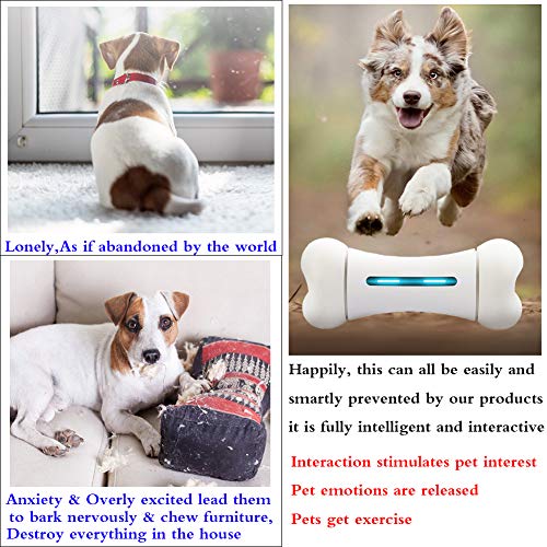 Juguetes Interactivos Indestructibles - Inteligente Bluetooth Perro Juguete Hueso Para Perros Pequeños Y Grandes - 12 Emocional - 9 Deportes - Material Seguro FDA - USB Charging (300G),tbones